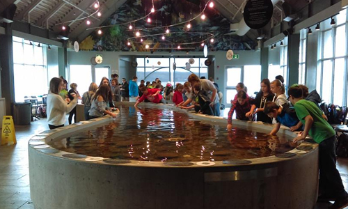 Attraction Image